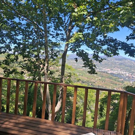 Quinta Do Valdalagea Guest House Peso da Regua Exterior photo