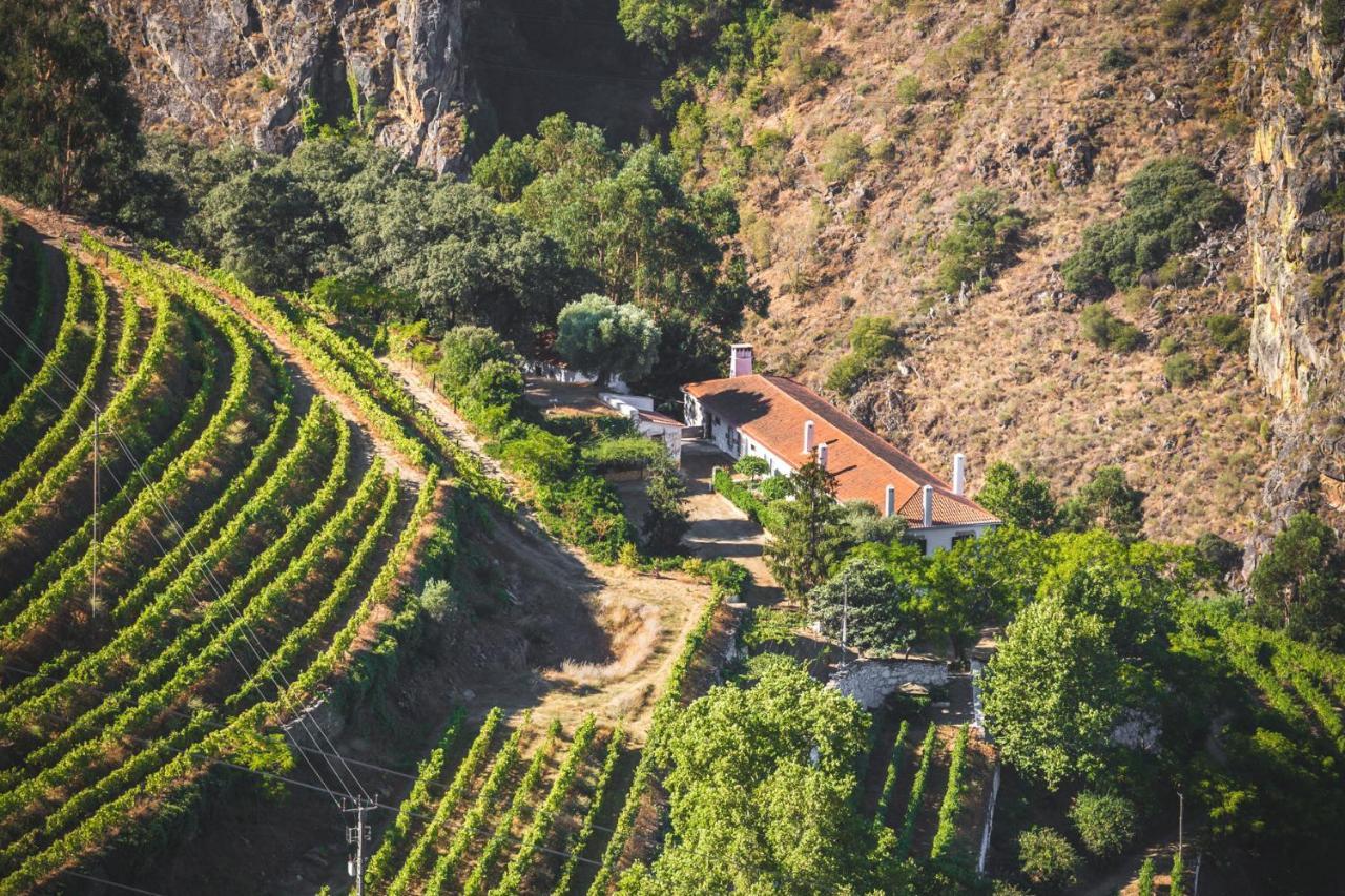 Quinta Do Valdalagea Guest House Peso da Regua Exterior photo